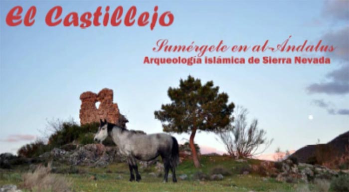 El Castillejo. Arqueología islámica en Granada